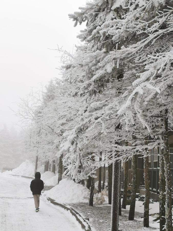 Gorgeous House For Ski Retreat Or Mountain Vacations Snowshoe Dış mekan fotoğraf